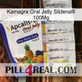 Kamagra Oral Jelly Sildenafil 100Mg 11